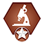 Achievement icon