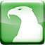 Icon for Eagle Eye