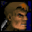 Icon for Wolfenstein 3D