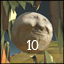 Achievement icon