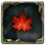 Icon for End of leaves