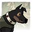 Icon for Good doggy