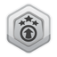 Achievement icon