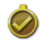 Achievement icon